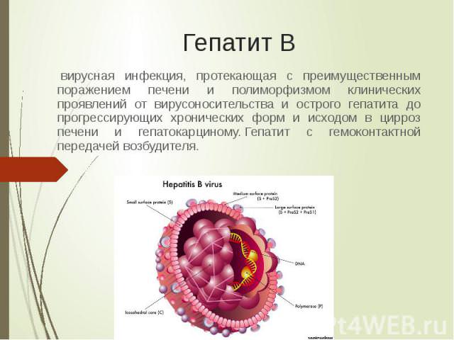 гепатит В