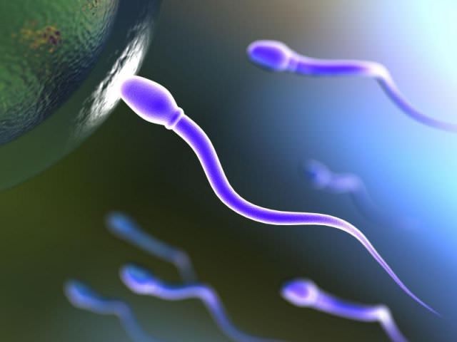 анализ спермы